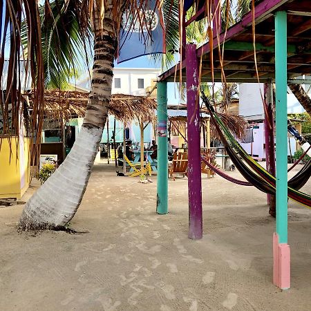 Caye Corker Tropical Oasis 호스텔 외부 사진