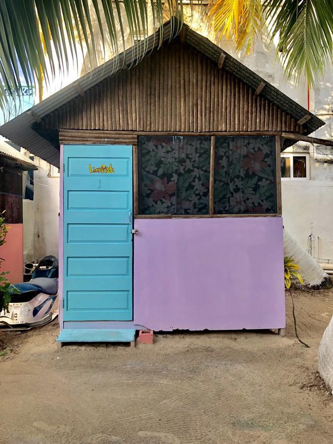 Caye Corker Tropical Oasis 호스텔 외부 사진