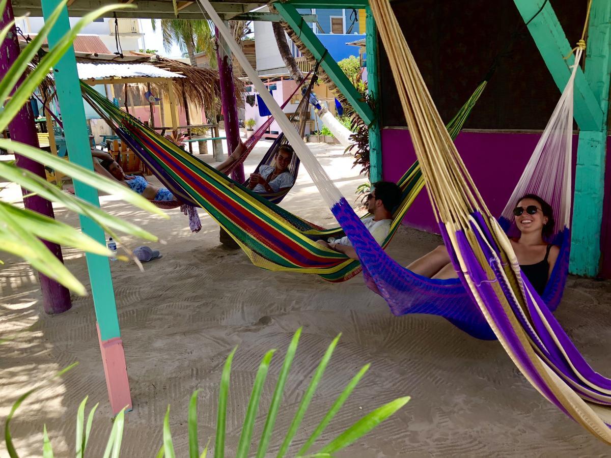 Caye Corker Tropical Oasis 호스텔 외부 사진