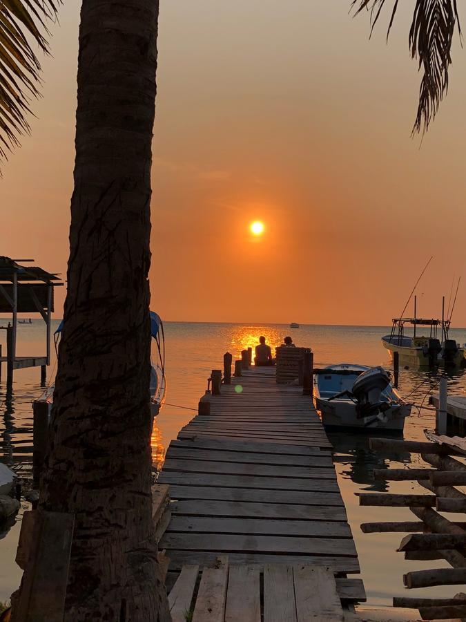 Caye Corker Tropical Oasis 호스텔 외부 사진