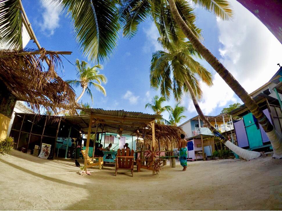 Caye Corker Tropical Oasis 호스텔 외부 사진